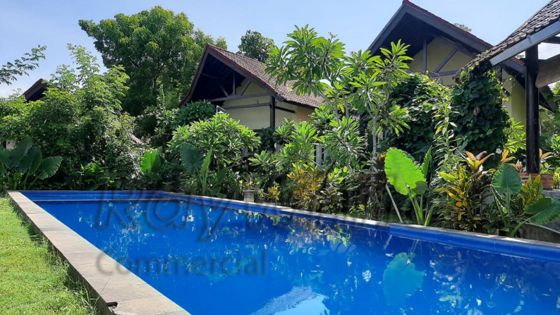 Villa 12 unit & hotel Lovina Ecolodge Buleleng Bali Harga Miring