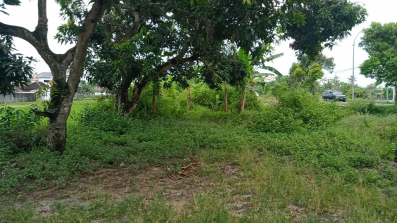 Tanah Di Jual Di Turi Bantul Yogyakarta