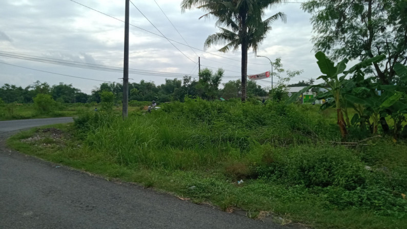 Tanah Di Jual Di Turi Bantul Yogyakarta