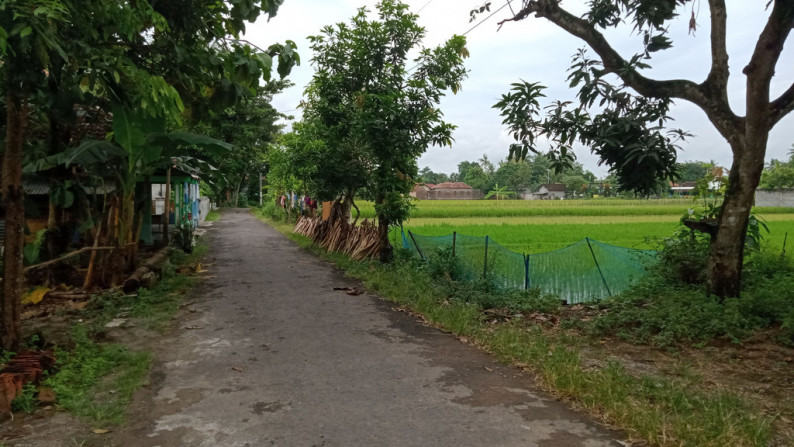Tanah Di Jual Di Turi Bantul Yogyakarta