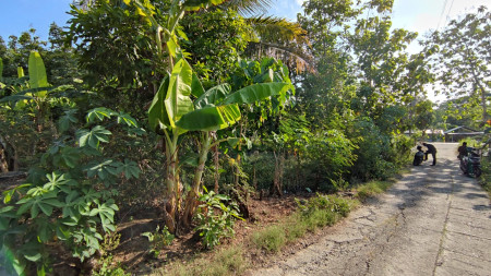 TANAH PEKARANGAN 1090 METER PERSEGI, DI JL SENTOLO-BROSOT, KULON PROGO