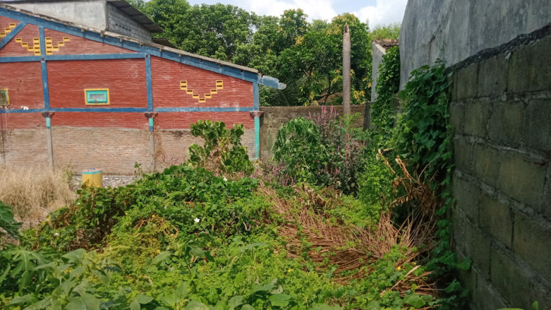 Tanah Di Perumahan Griya Permata Hijau Kalasan Yogyakarta