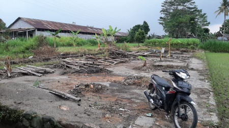 TANAH 442 METER PERSEGI, DEKAT JEJAMURAN, JL PANDOWOHARJO, SLEMAN