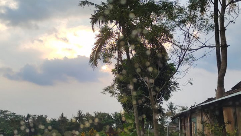 TANAH 442 METER PERSEGI, DEKAT JEJAMURAN, JL PANDOWOHARJO, SLEMAN
