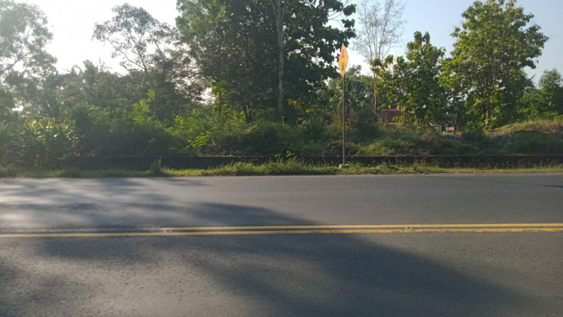TANAH SELUAS 697 METER PERSEGI, DI JL WATES KM 16, SENTOLO, KULONPROGO
