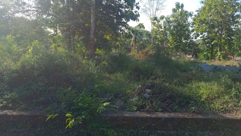 TANAH SELUAS 697 METER PERSEGI, DI JL WATES KM 16, SENTOLO, KULONPROGO