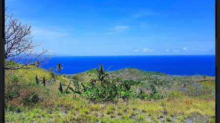 Kavling premium di perbukitan view laut / ubud Bali