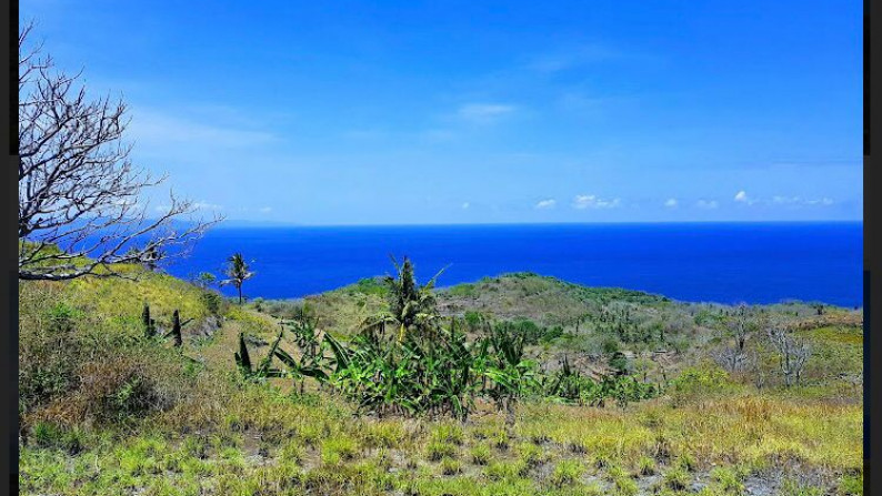 Kavling premium di perbukitan view laut / ubud Bali