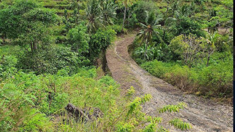 Kavling premium di perbukitan view laut / ubud Bali