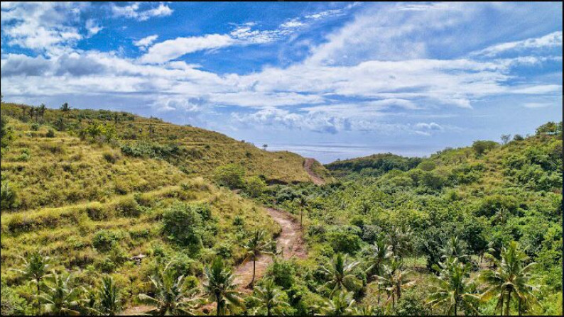 Kavling premium di perbukitan view laut / ubud Bali