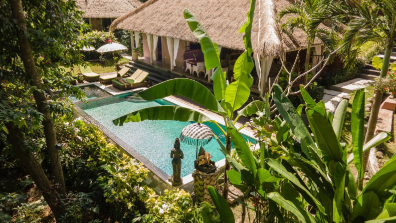 Tranquil 1 Bedroom Suites 240m2  in a Chic Boutique Resort 1436m2 only 7 minutes to Canggu Beaches