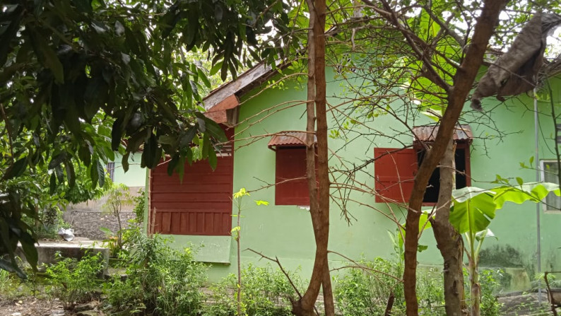 RUMAH TINGGAL DI JL KARANGMOJO KM 3, GUNUNGKIDUL, YOGYAKARTA