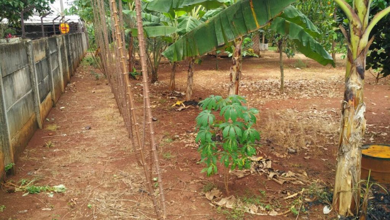 Kavling Siap Bangun, Bentuk Persegi, dan Strategis @Paku Jaya, Serpong Utara