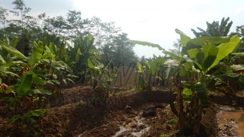 Tanah 12Ha Jalan Raya Palka Padarincang Serang Banten