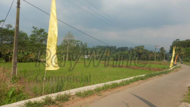 Tanah 12Ha Jalan Raya Palka Padarincang Serang Banten