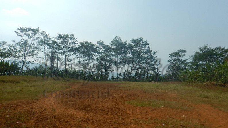 Tanah 12Ha Jalan Raya Palka Padarincang Serang Banten