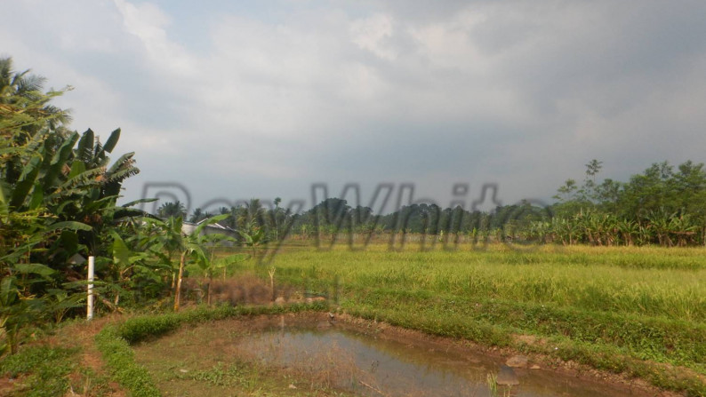 Tanah 12Ha Jalan Raya Palka Padarincang Serang Banten