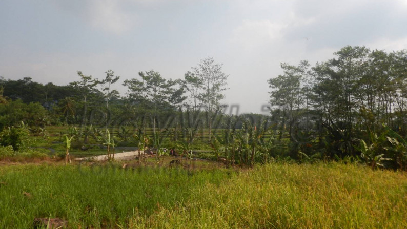 Tanah 12Ha Jalan Raya Palka Padarincang Serang Banten