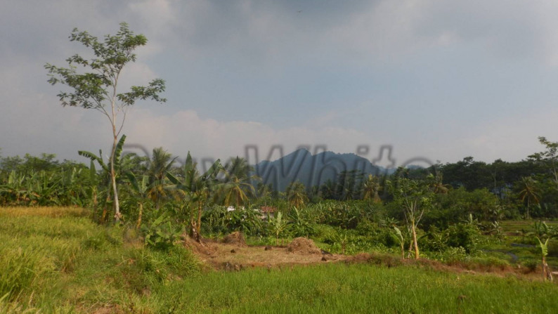 Tanah 12Ha Jalan Raya Palka Padarincang Serang Banten