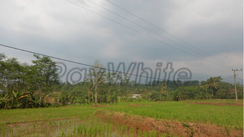 Tanah 12Ha Jalan Raya Palka Padarincang Serang Banten