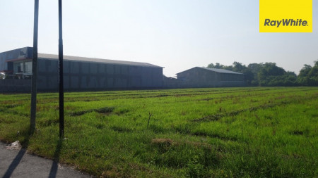Tanah Industri di Jl Makadam, Sumberejo, Wonoayu, Sidoarjo