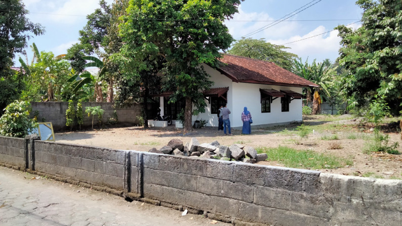 Tanah Murah dekat kampus UGM gg sandel monjali Yogyakarta