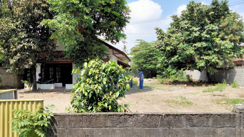 Tanah Murah dekat kampus UGM gg sandel monjali Yogyakarta