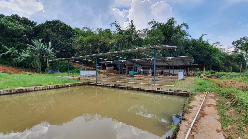 Kavling Terdapat Empang (Pemancingan) @Jl Raya Tegar Beriman, Tajur Halang, Bogor