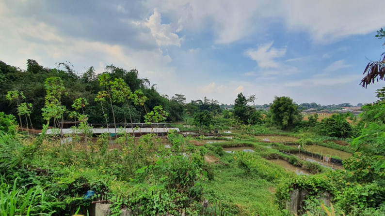 Kavling Terdapat Empang (Pemancingan) @Jl Raya Tegar Beriman, Tajur Halang, Bogor