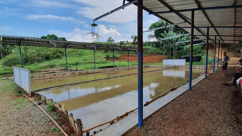 Kavling Terdapat Empang (Pemancingan) @Jl Raya Tegar Beriman, Tajur Halang, Bogor