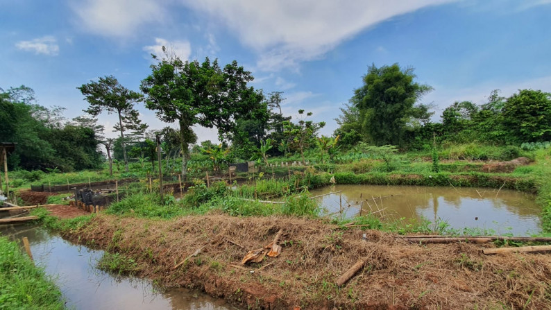 Kavling Terdapat Empang (Pemancingan) @Jl Raya Tegar Beriman, Tajur Halang, Bogor