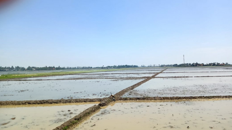 Dijual Tanah Sawah di Jl. Kobakrantai, Sukakarya, Sukatani