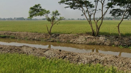 Dijual Tanah Sawah di Jl. Kobakrantai, Sukakarya, Sukatani