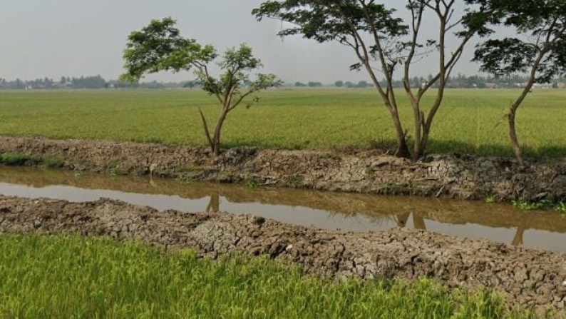 Dijual Tanah Sawah di Jl. Kobakrantai, Sukakarya, Sukatani