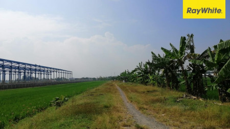 Dijual Tanah SHM di Wringinanom (Kedung Anyar), Gresik