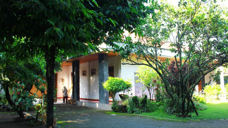 Rumah & Homestay di dalam kota Yogyakarta