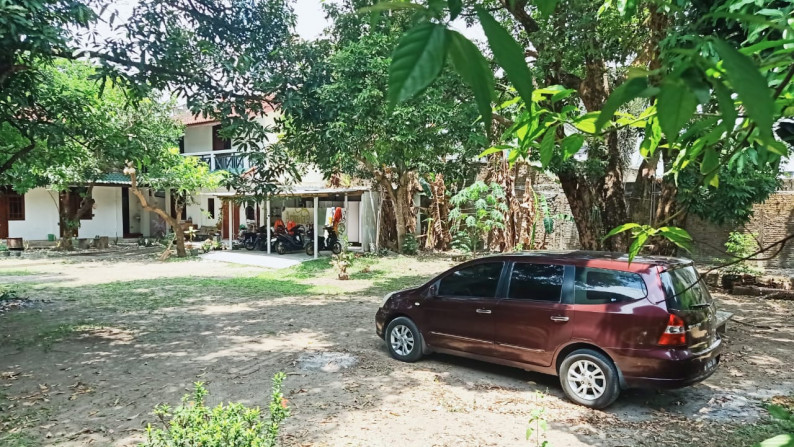 Rumah & Homestay di dalam kota Yogyakarta