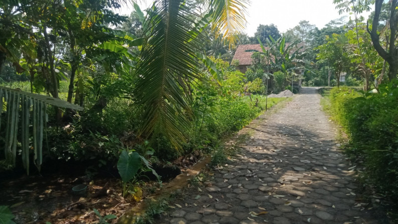 Tanah Pekarangan Dusun Kepitu Trimulyo Sleman Yogyakarta