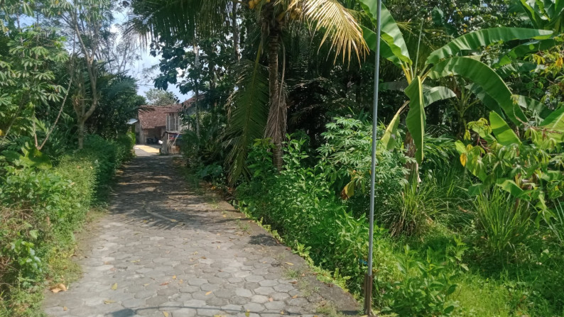 Tanah Pekarangan Dusun Kepitu Trimulyo Sleman Yogyakarta