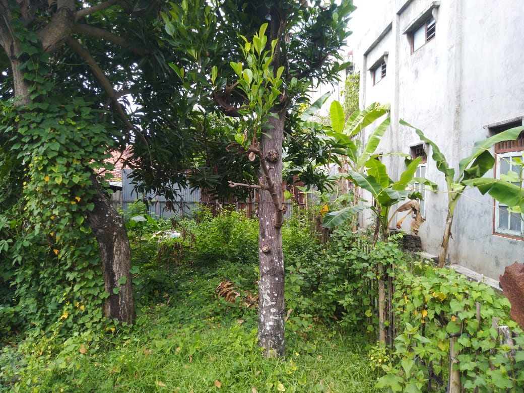 RUMAH TINGGAL BONUS RUMAH  KOST DI JL BALIREJO, UMBULHARJO, YOGYAKARTA