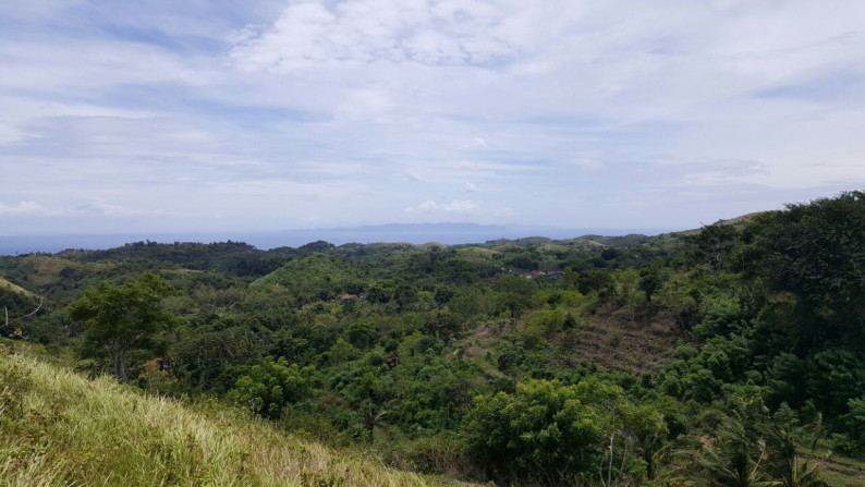 Nusa Penida Bali, Pejukutan, Tanah kavling view laut dan Ubud