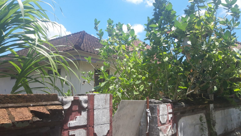 Commercial property Leasehold in Great Location Padang Linjong Canggu