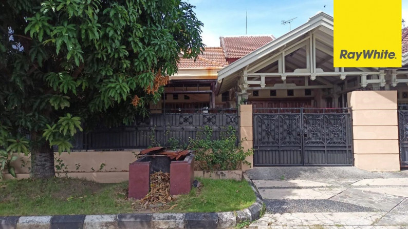 Disewakan Rumah di Sutorejo Prima, Surabaya