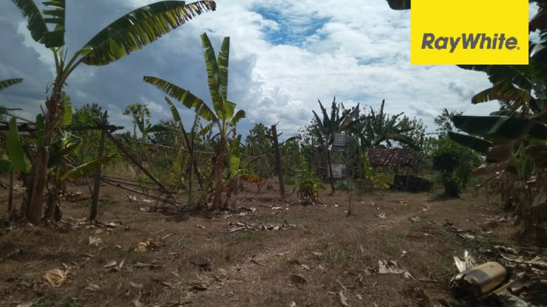 Tanah di Nol Jalan Desa Lowayu, Dukun, Gresik