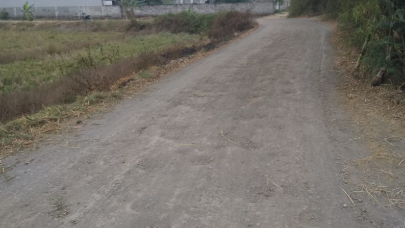 Tanah Industri di Desa Kepoh Klagen, Wringinanom, Gresik