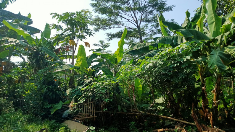 Kavling Siap Bangun dan Cocok Untuk Cluster @Kampung Cikuda, Gunung Putri, Bogor