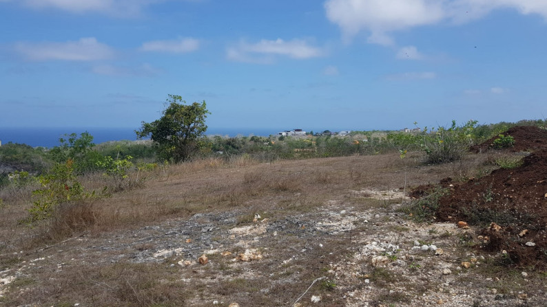 Freehold 15,250 m2 land with ocean view located at Uluwatu Village, Pecatu.