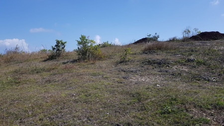 Freehold 15,250 m2 land with ocean view located at Uluwatu Village, Pecatu.