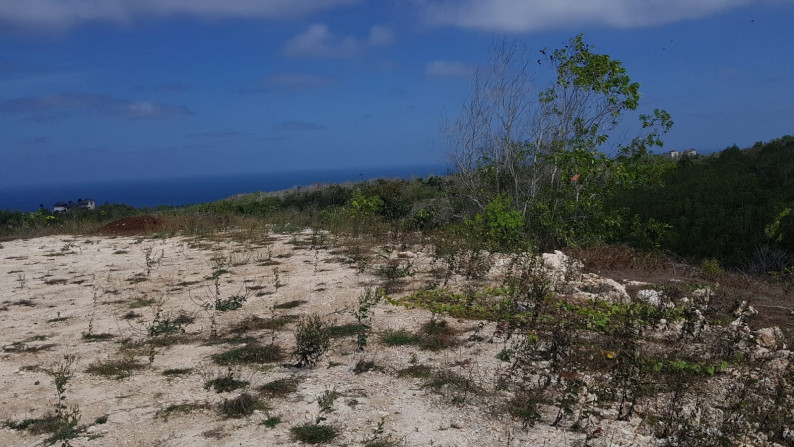 Freehold 15,250 m2 land with ocean view located at Uluwatu Village, Pecatu.