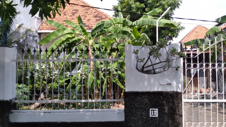 RUMAH LAMA HITUNG TANAH Jl. TEUKU UMAR SURABAYA